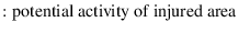 $\displaystyle : \textit{\normalfont potential activity of injured area}$