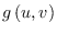 $g\left( u,v\right) $